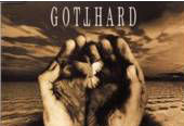 image link Gotthard music Video